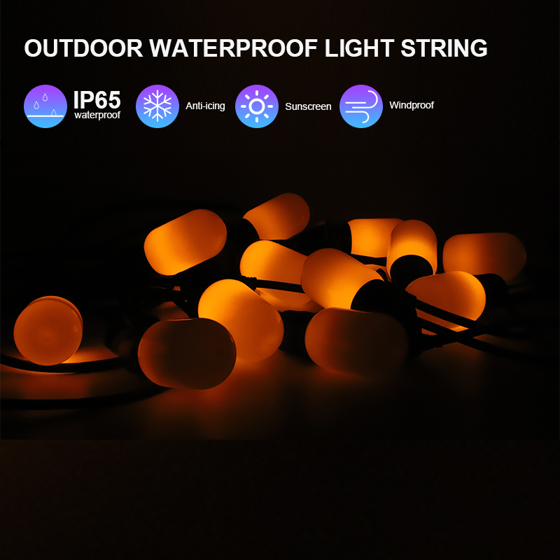 7.3M Flame String Light With 12 T45 Blubs 120V 610lm 